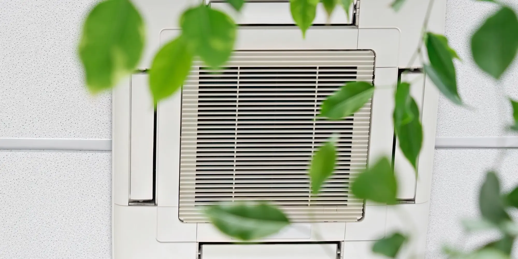 Ar-condicionado split com folhas de planta em sua frente.